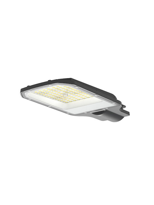 Geyer Geyer Outdoor Floor Lamp LED Road 30W with Natural White Light IP65 Gray