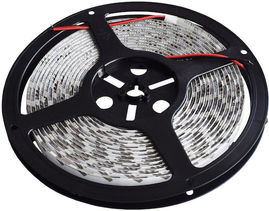 Rebel Wasserdicht LED-Streifen 12V Natürliches Weiß Licht 5m