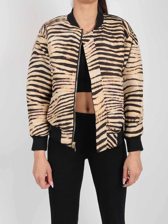 Just Cavalli