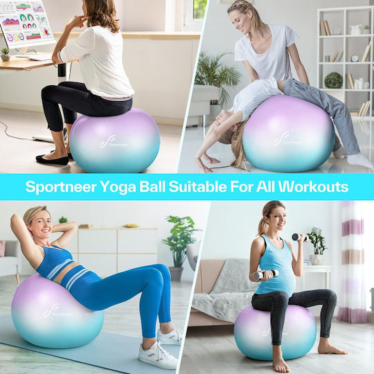 Sportneer Minge Pilates 65cm în culoare Roz