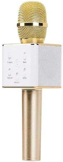 Microfon Karaoke Wireless DLSF3SMBM Auriu