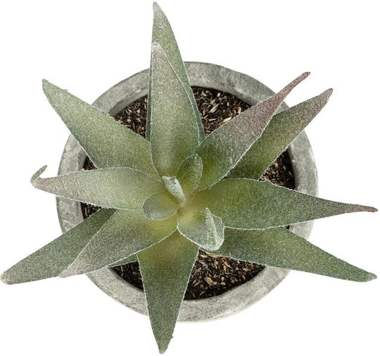 Künstliche Pflanze im Töpfchen Aloe Grün 12cm in Box GloboStar