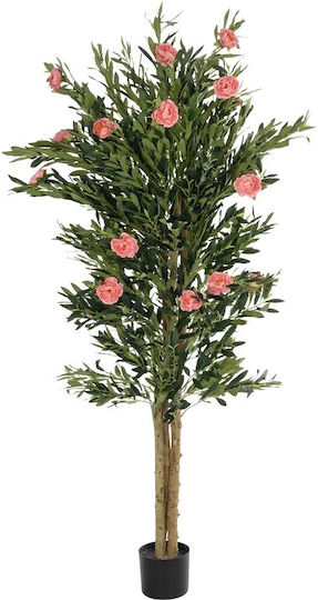 Outdoor Tree Peony Pink GloboStar