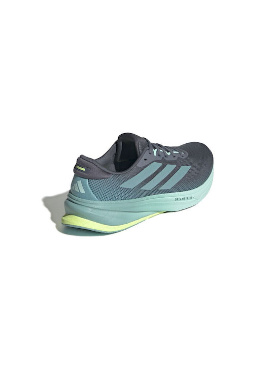 Supernova Rise 2 Sport Shoes Running Gray