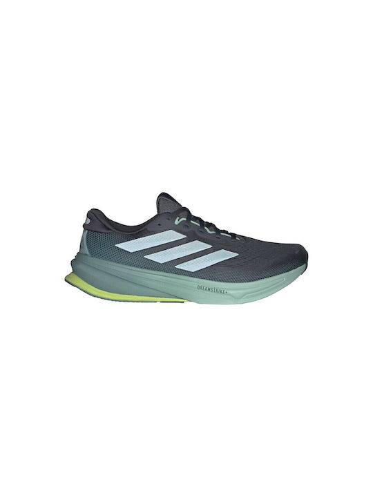 Supernova Rise 2 Sport Shoes Running Gray