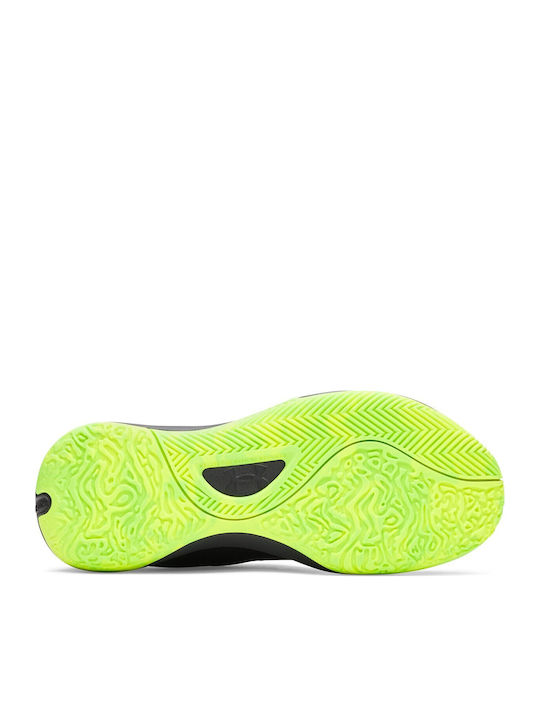 Lockdown 7 Niedrig Basketballschuhe Schwarz