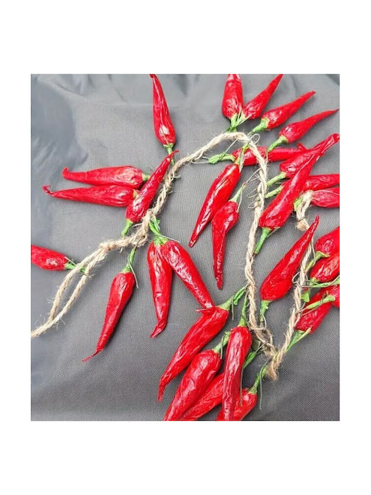 Hanging Wall Decor Red 4 Pieces