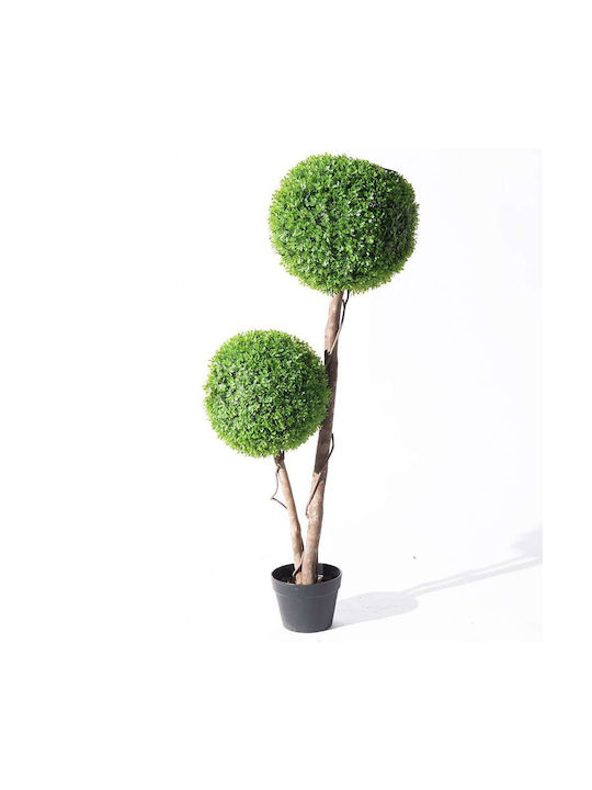 Buxus На Открито 120см Supergreens