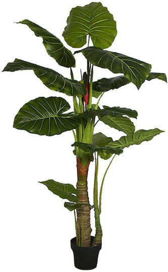 Arbore Artificial de Exterior Alocasia Green 170cm Supergreens