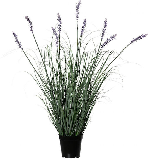 Γρασιδι Λεβαντα Γλαστρα 80cm 28x28x80cm Μονόχρωμο Kaeming Γρασιδι Λεβαντα Γλαστρα 80cm 28x28x80cm Μονόχρωμο Kaeming
