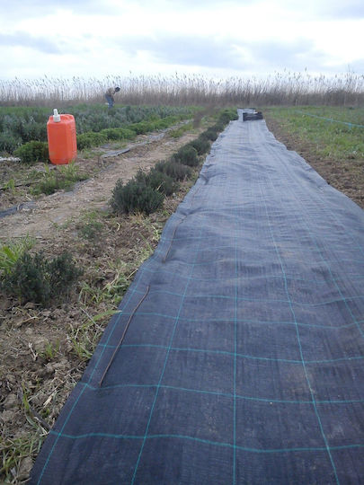 D898975 Ύφασμα Εδαφοκάλυψης 1x1m Μαύρο