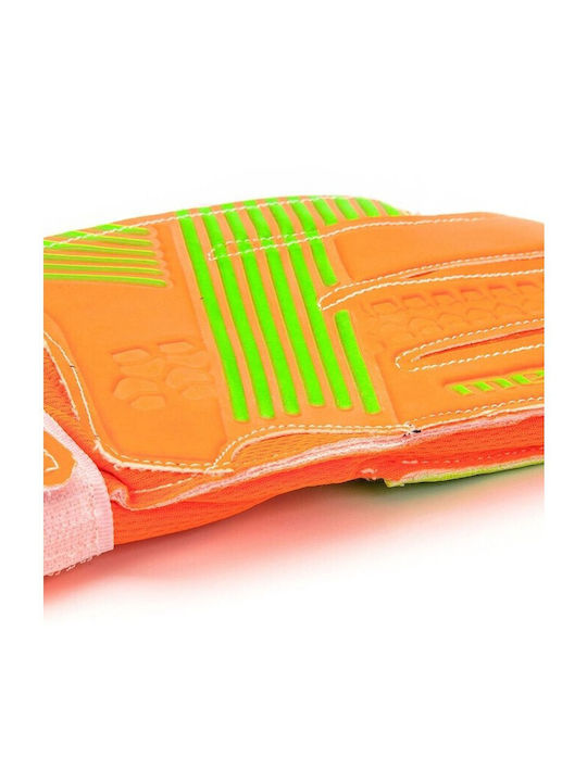 Meteor Adults Goalkeeper Gloves Green