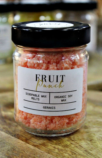 Gerakis Gerakis Raumdüfte Wax Melt Fruit Punch 003764FPU 100g
