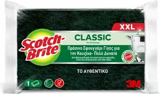 Scotch Brite Kitchen Sponge for Dishes Green Large Classic