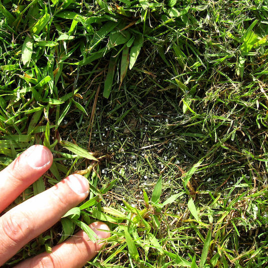 Ellinikos Zeolite 1 to 2.5 Millimeters Fine Gravel Ideal for Incorporation Small-Scale Crops Medium to Heavy Soil 500 Grams