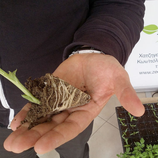 Greek Zeolite Up to 1 Millimeter Powder Ideal for Incorporation in Very Small Scale Crops Light Soil 500 Grams