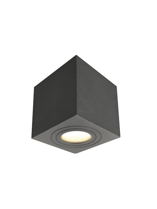 Spot Ceiling Light Aluminum Almeria H9.5 Ø9 Bot Lighting Almeriac Brown