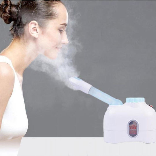 Tabletop Facial Steamer Face Purifier Family H-167