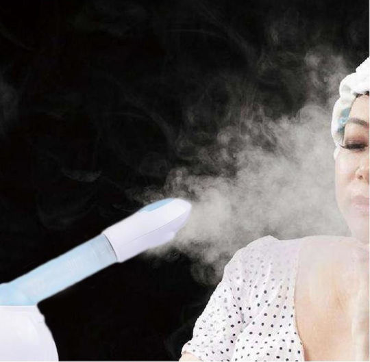 Tabletop Facial Steamer Face Purifier Family H-167