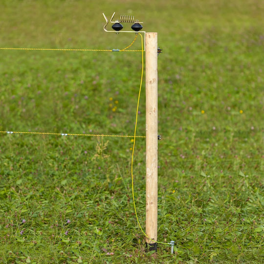 Lightning Protection for Electric Fencing