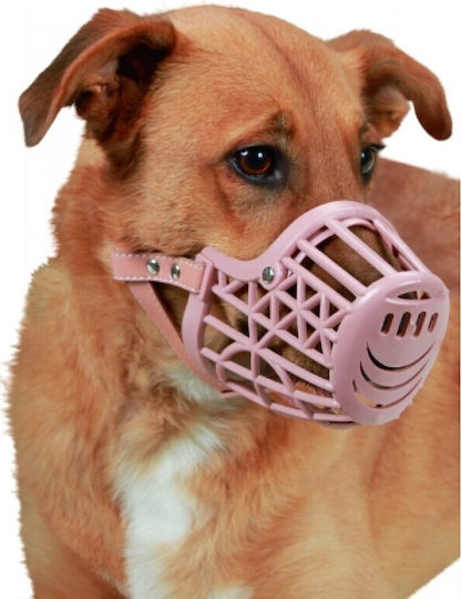 Premium Dog Muzzle Plastic No6 2706