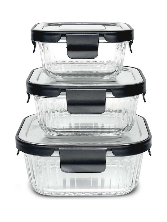 Iris Barcelona Lunchbox Glas 320ml 1Stück