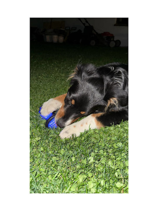 Dog Chew Ball Bouncing Glowing Rubber Tug Floating Toy