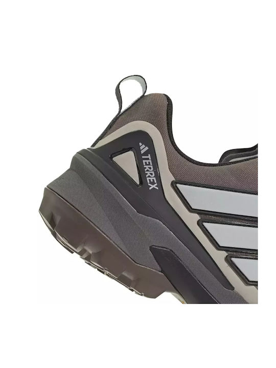 Terrex Sport Shoes Trail Running Brown Waterproof with Gore-Tex Membrane