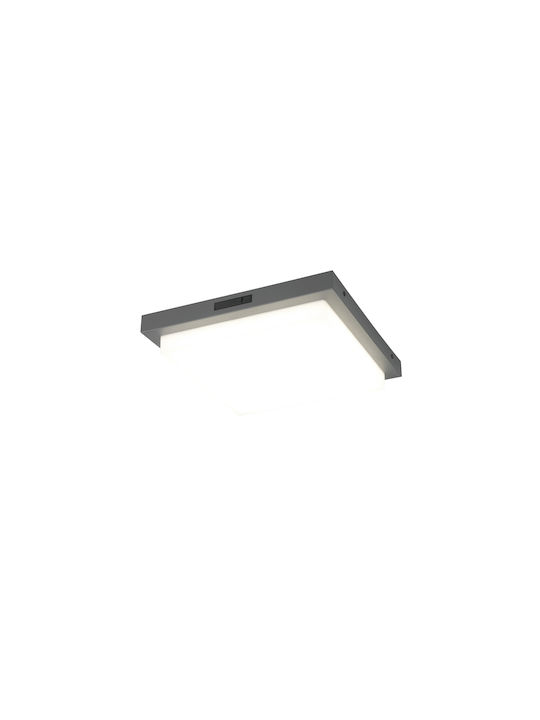 Trio Lighting Bermejo Plafonieră de Tavan Gri