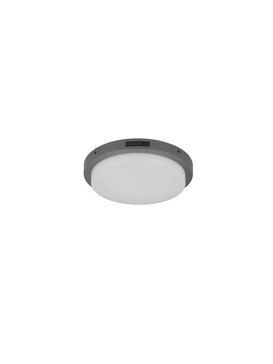 Trio Lighting Bermejo Таванно осветление Сив
