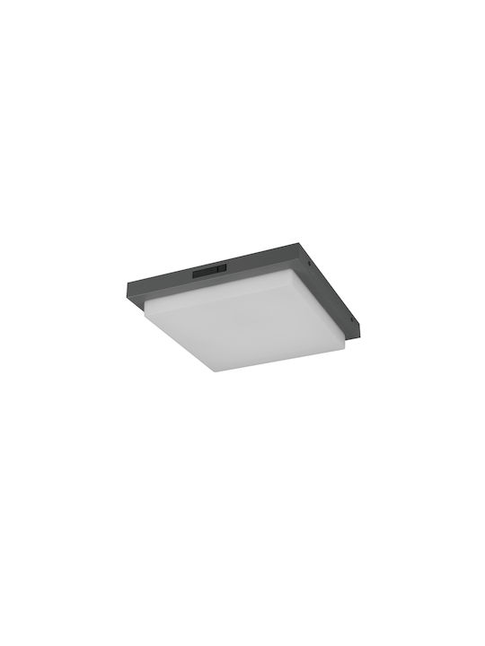 Trio Lighting Bermejo Plafonieră de Tavan Gri