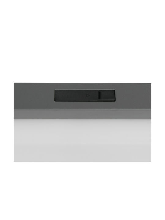 Trio Lighting Bermejo Plafonieră de Tavan Gri