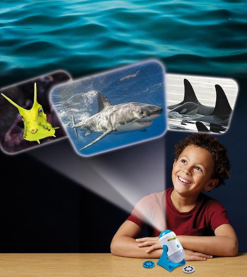 Brainstorm Animals STEM Εκπαιδευτικό Παιχνίδι Μηχανικής για 3+ Ετών