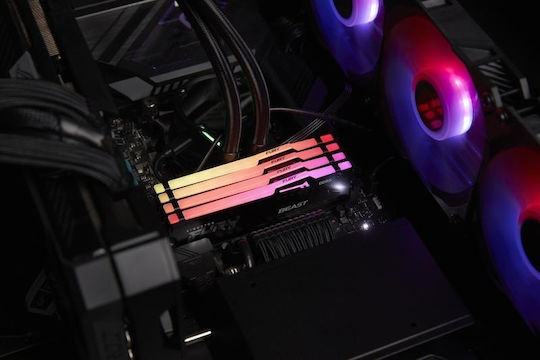 Kingston Fury Beast RGB DDR5 with Module 1x16GB and Speed 5600 for Desktop
