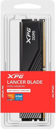 Adata Lancer DDR5 with Module 1x16GB and Speed 5600 for Desktop
