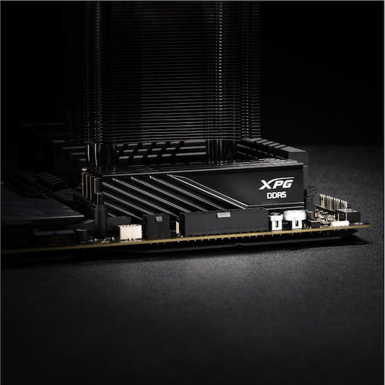 Adata Lancer DDR5 with Module 1x16GB and Speed 5600 for Desktop