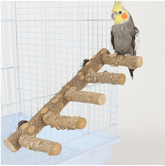Epigasos Natural Bird Perch Pepper Tree 1.5~2.5*30cm Stainless Supports