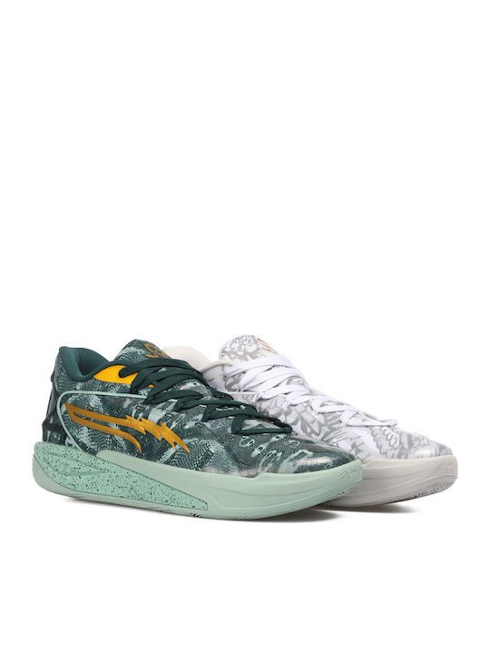 PUMA