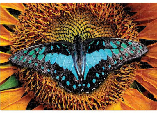 Παιδικό Puzzle 250pcs interDRUK