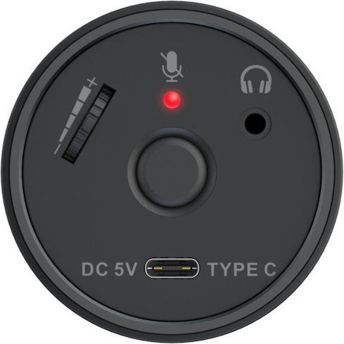 AVerMedia 40AAAM310AWL Μικρόφωνο