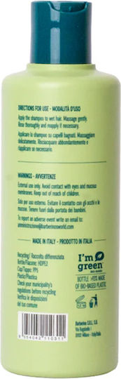Barberino's Σαμπουάν 250ml