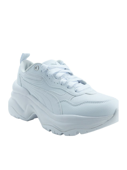 PUMA