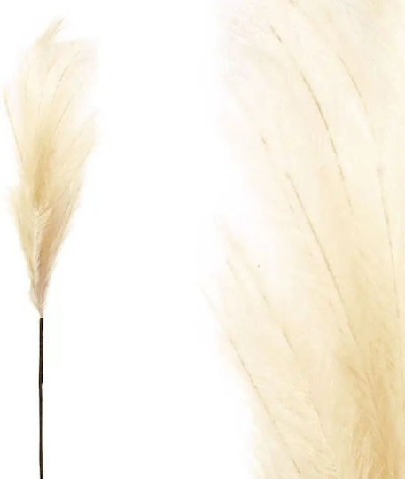 Διακοσμητικό Φτερό Pampas grass Εκρού 117cm Marhome