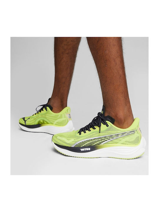 Velocity Nitro 3 Sport Shoes Running Psychedelic Rush