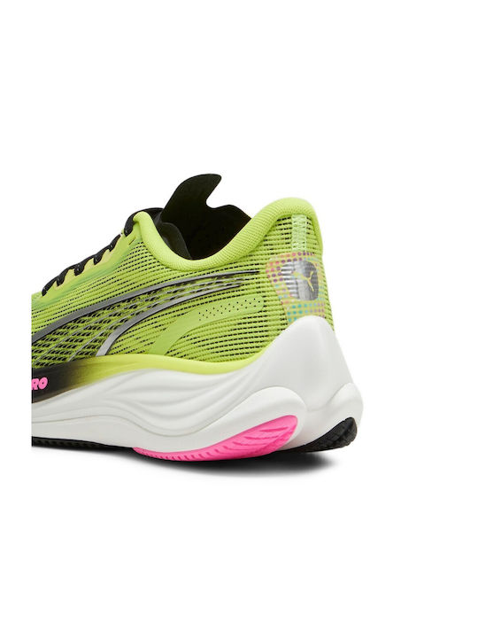 Velocity Nitro 3 Femei Pantofi sport Alergare Galbene