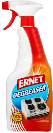 Ernet Καθαριστικό Spray Schmierfett 750ml 1Stück