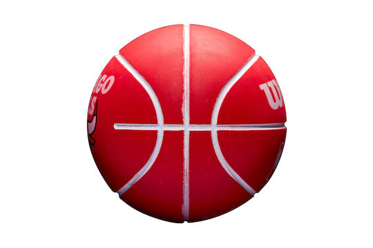 Wilson Nba Dribbler Bskt Kids Ball Basketball Multicolored