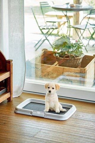 Stefanplast Dog Training Toilet 60x40cm 1pcs