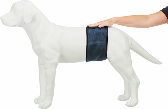 Trixie Pampas Hundewindeln Männliche wiederverwendbare Windel mit 3 Ersatzpads Klein 29 - 37cm 1Stück