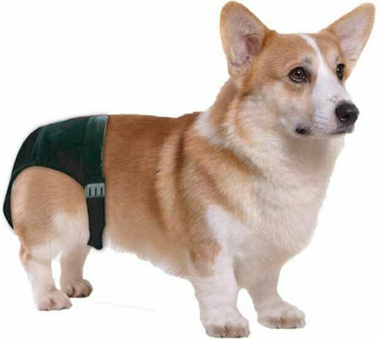 Pawise Sanitary Pants Dog Panties Small 24 - 31cm 1pcs